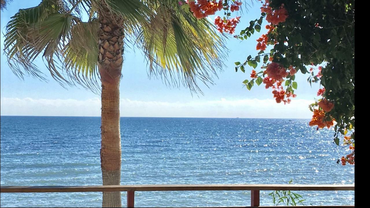 Mi Capricho A16 Beachfront Apartment Sitio de Calahonda 外观 照片